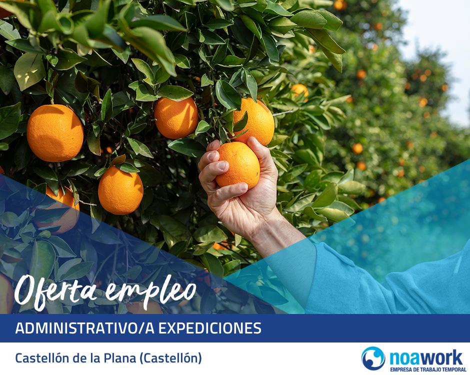 Administrativo/a expediciones