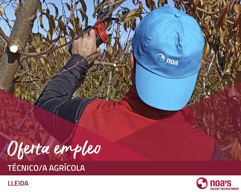 ETT LLEIDA Técnico/a agrícola 