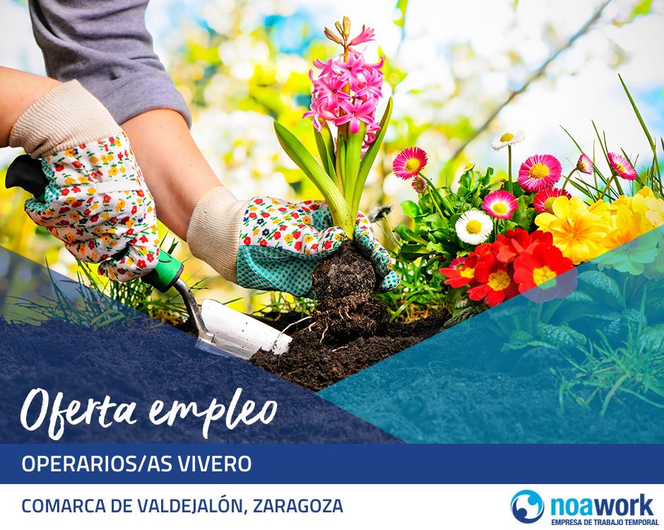 Operarios/as vivero