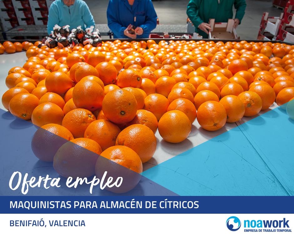 Maquinistas para almacén de cítricos