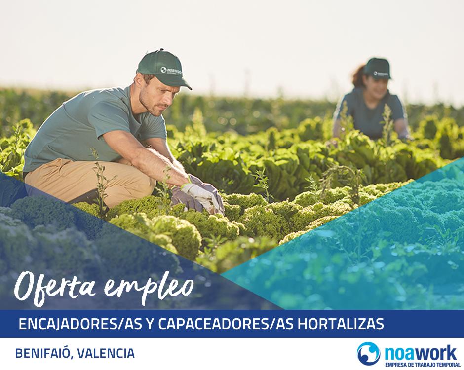  encajadores/as y capaceadores/as hortalizas