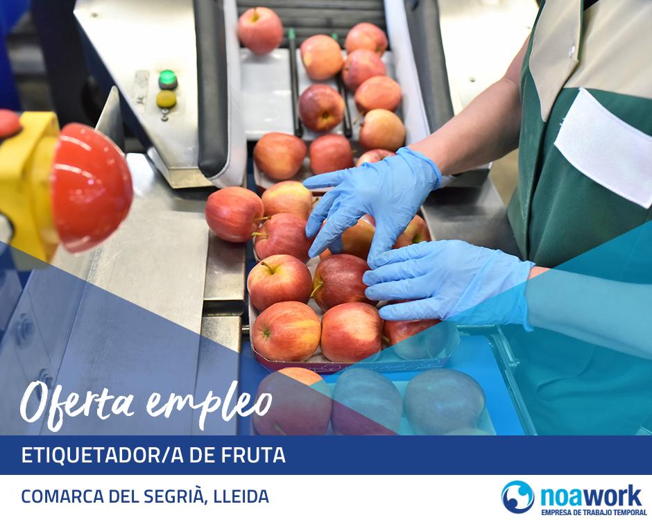Etiquetador/a de fruta