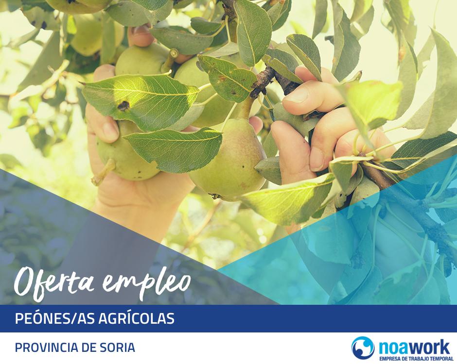 Peónes/as agrícolas