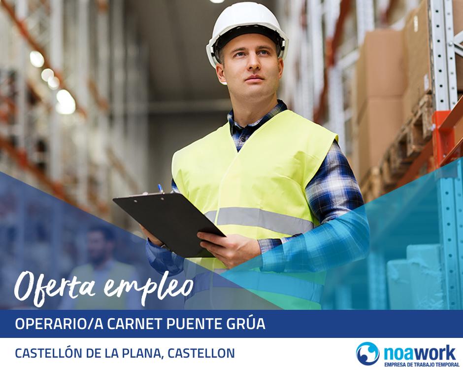 Operario/a carnet puente grúa