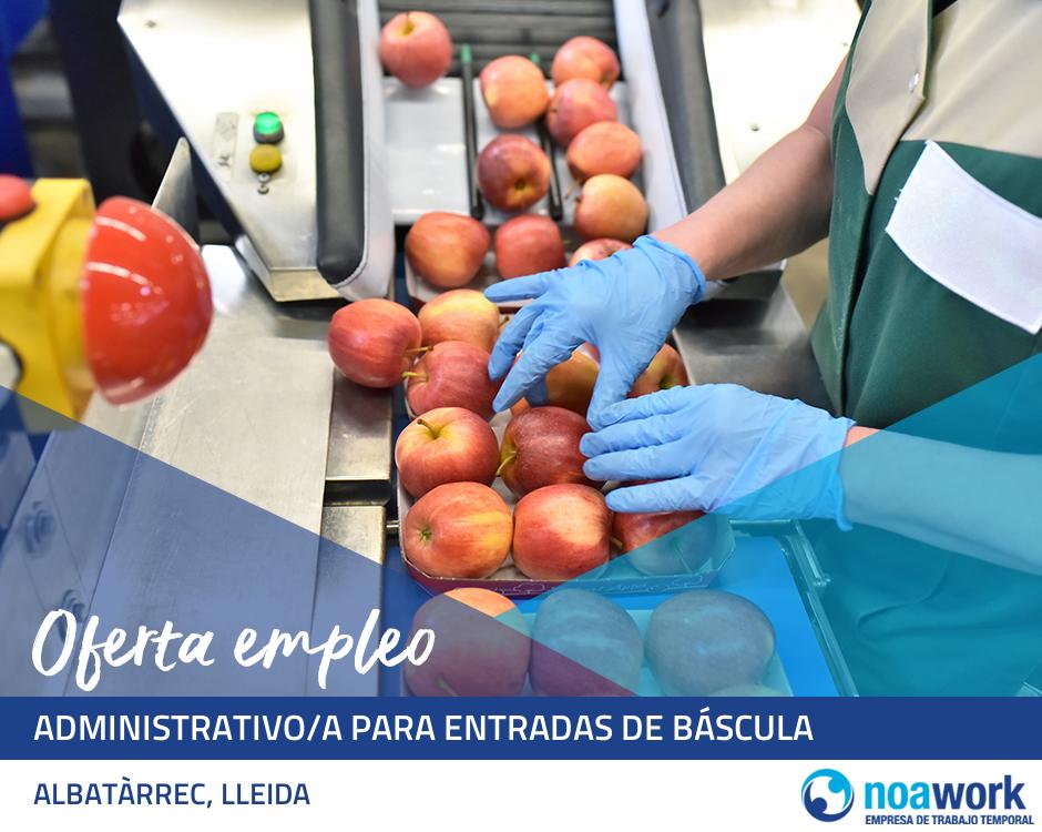 Administrativo/a para entradas de báscula