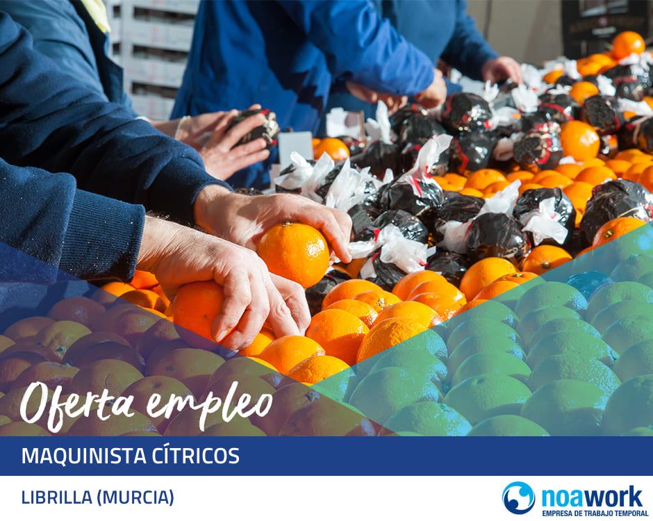 Maquinista cítricos