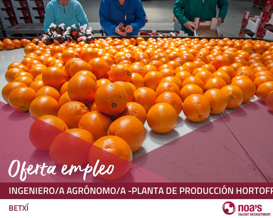 Ingeniero/a agrónomo/a -planta de producción hortofrutícola