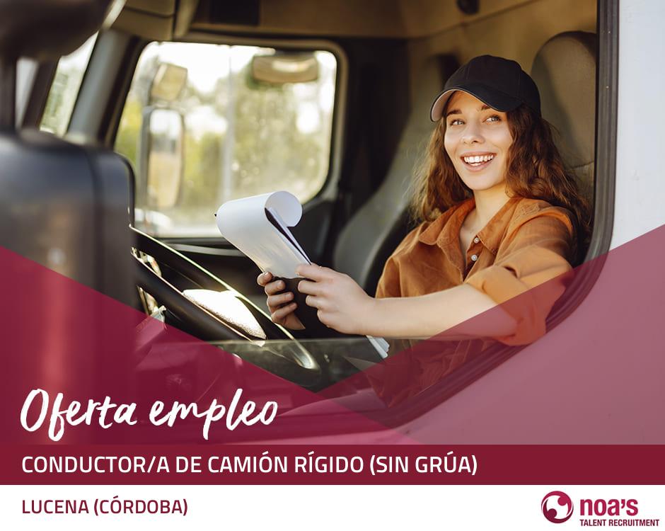 Conductor/a de camión rígido (sin grúa)