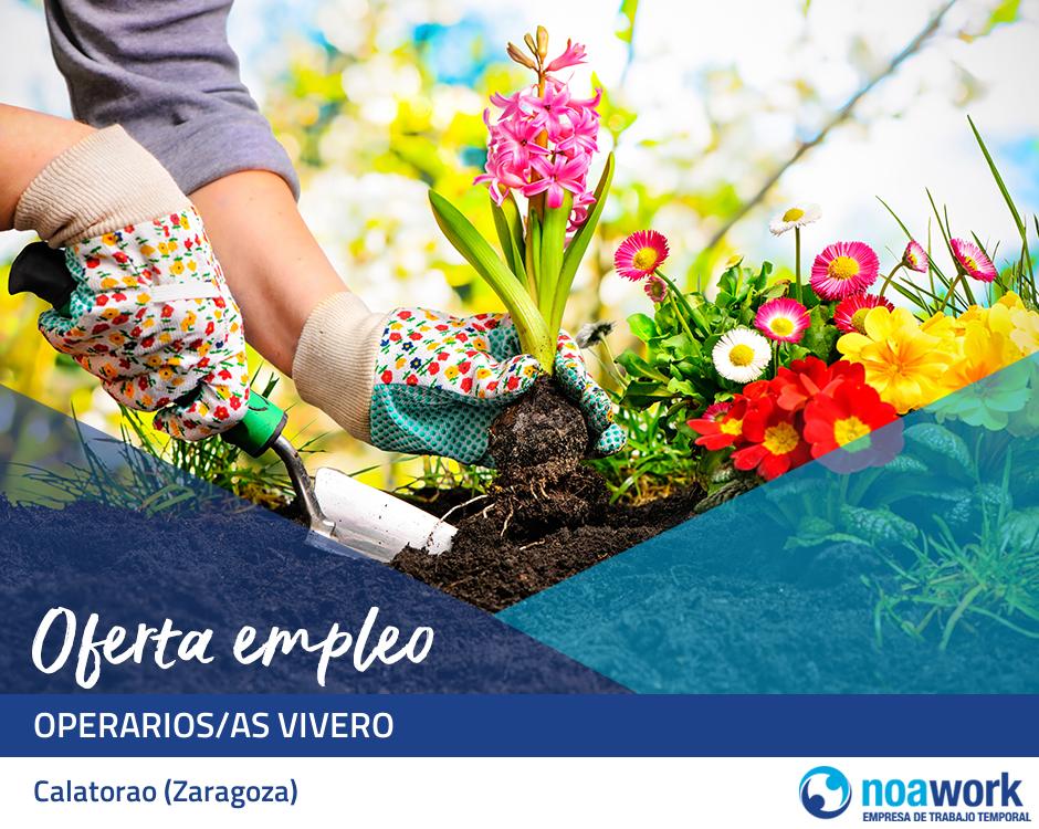 Operarios/as vivero