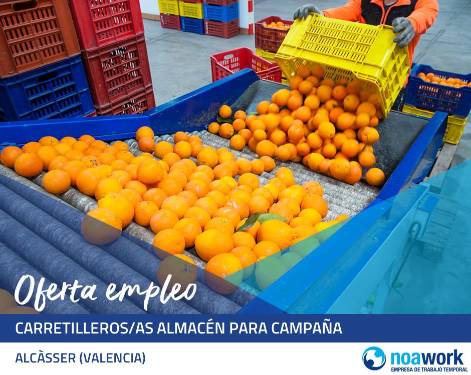 Carretilleros/as almacén para campaña