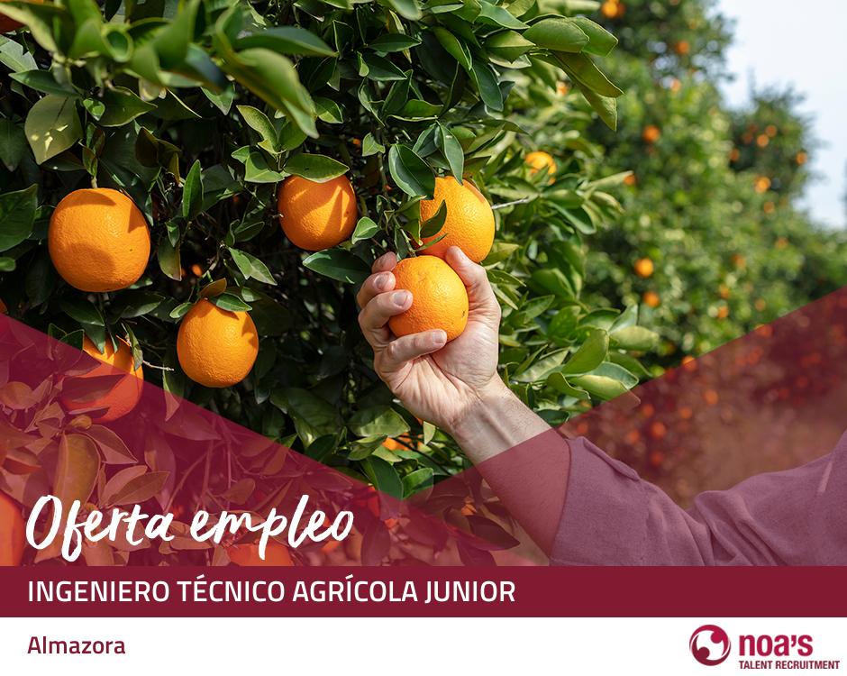ETT Almazora Ingeniero técnico agrícola junior