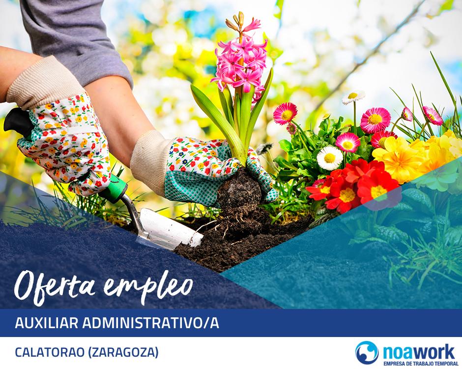 Auxiliar administrativo/a