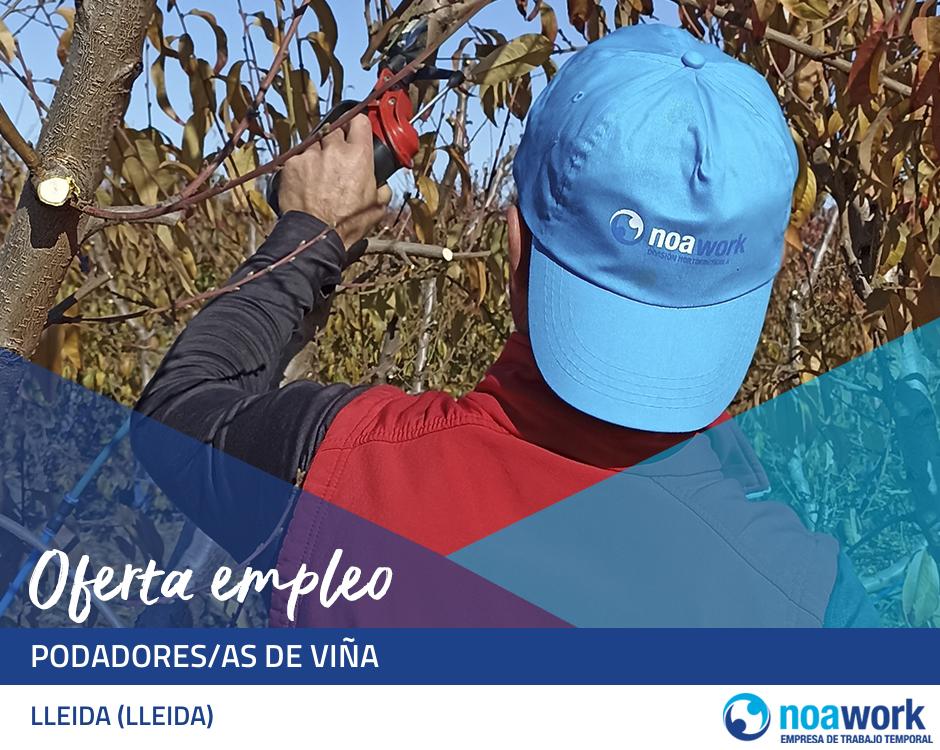 Podadores/as de viña