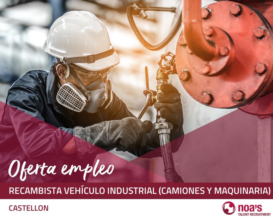 Recambista vehículo industrial (camiones y maquinaria)