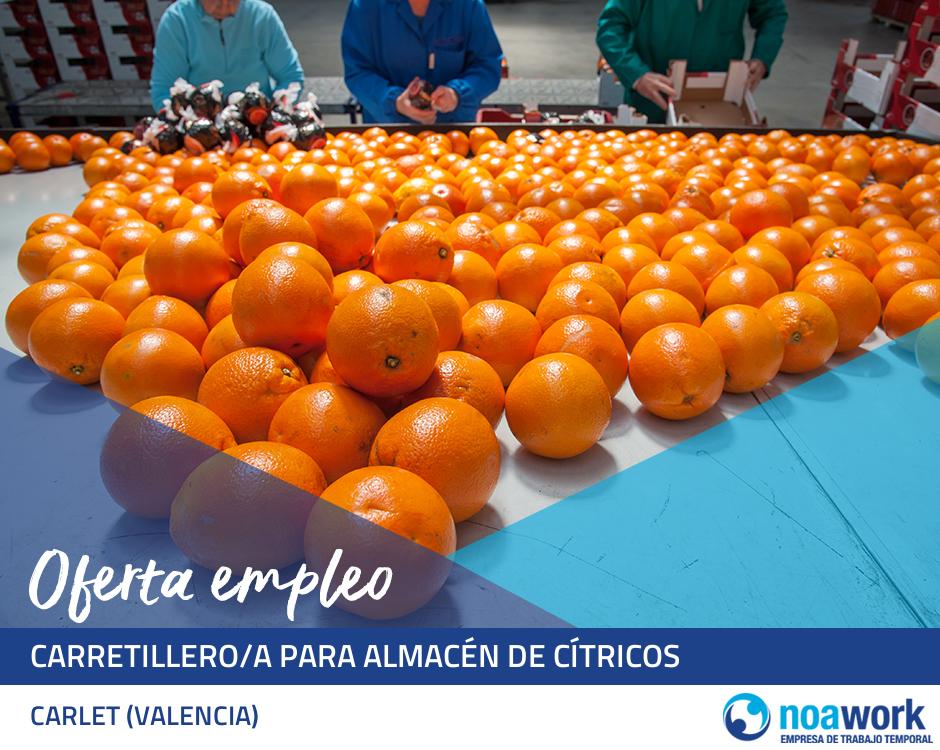 Carretillero/a para almacén de cítricos