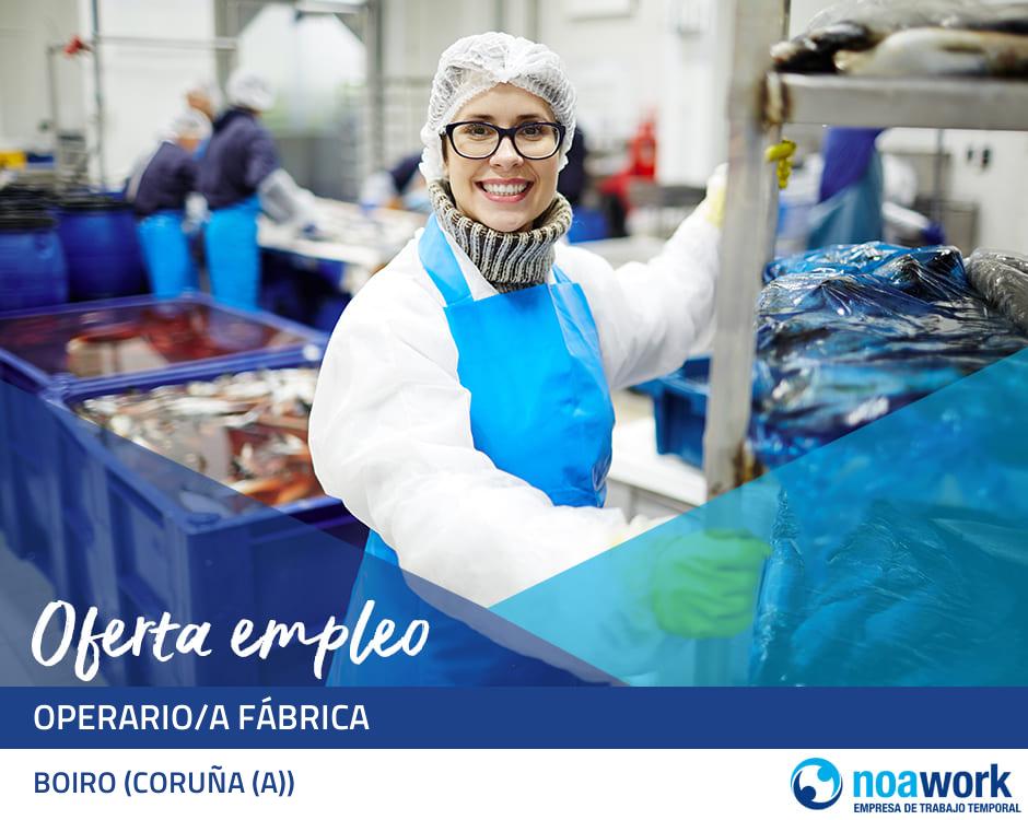 Operario/a fábrica