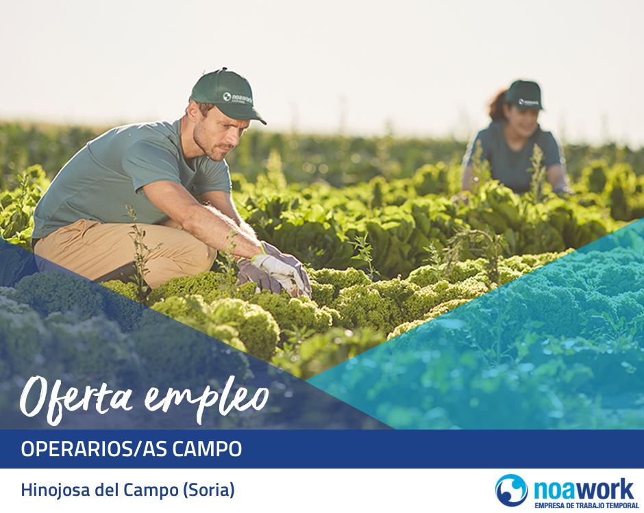 Operarios/as campo