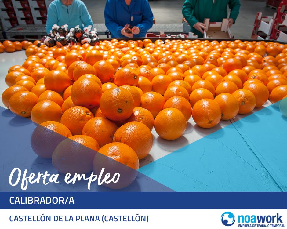 Calibrador/a