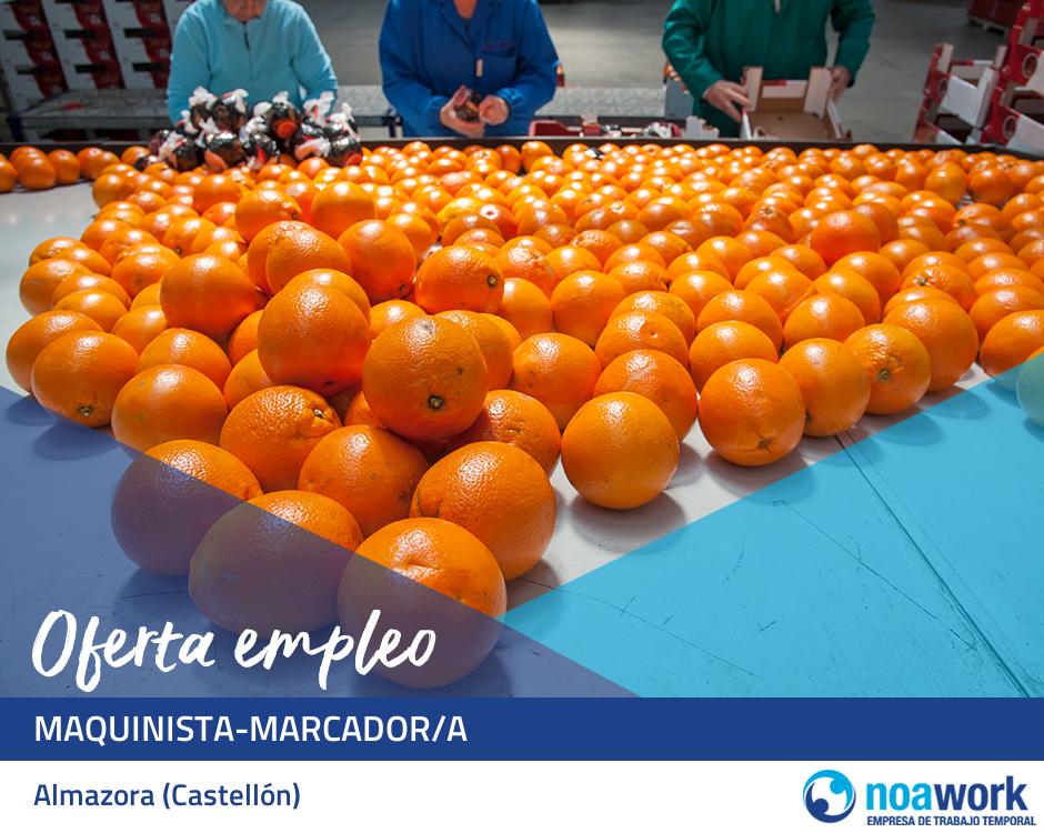 ETT Almazora (Castellón) Maquinista-marcador/a