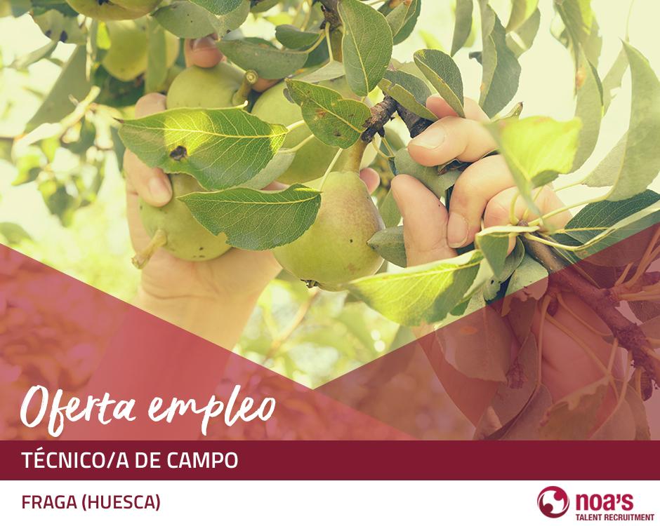 Técnico/a de campo Técnico/a de campo