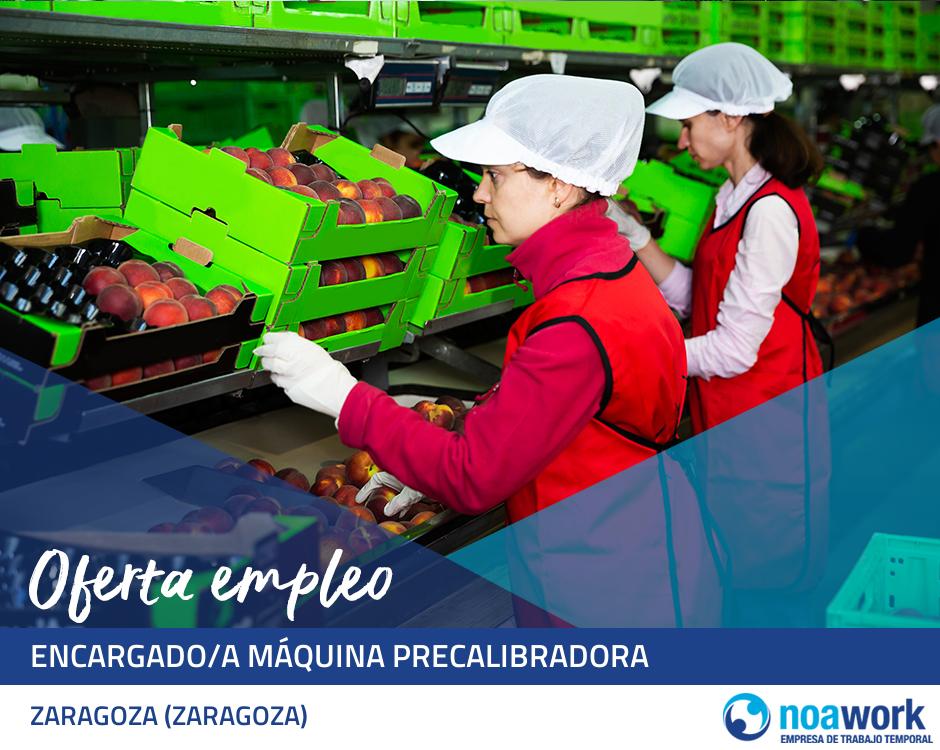 Encargado/a máquina precalibradora