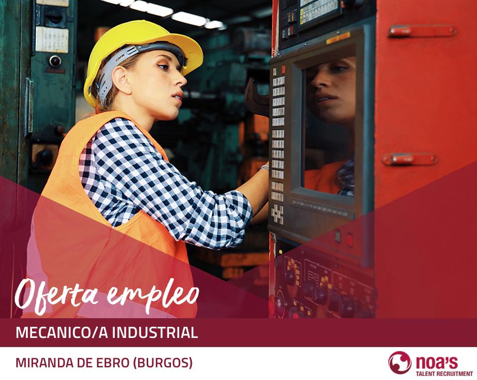 Mecanico/a industrial