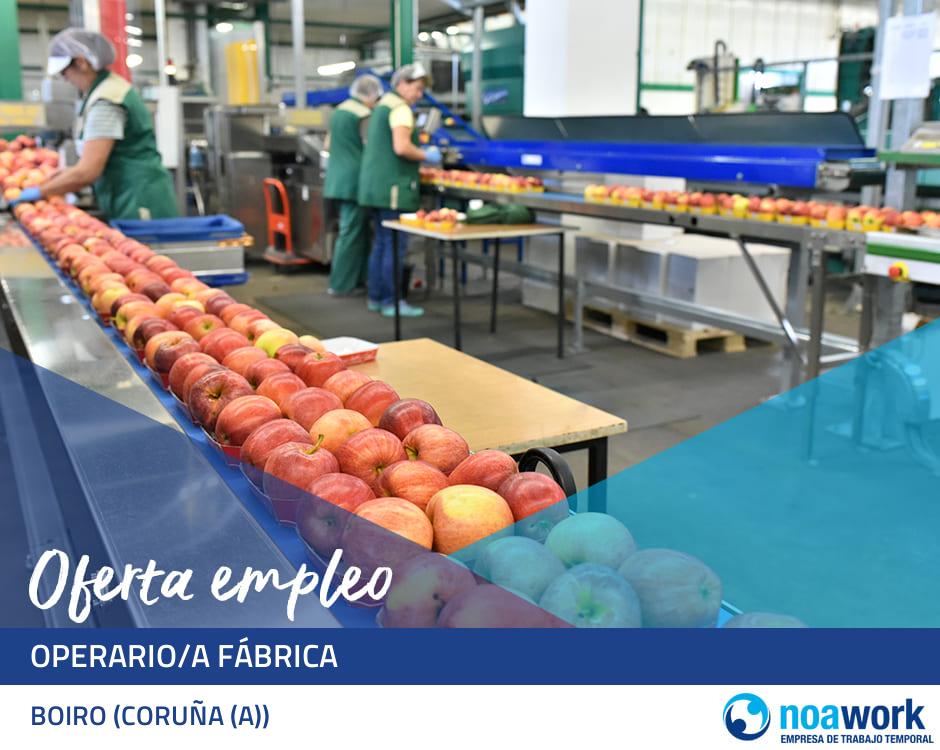Operario/a fábrica