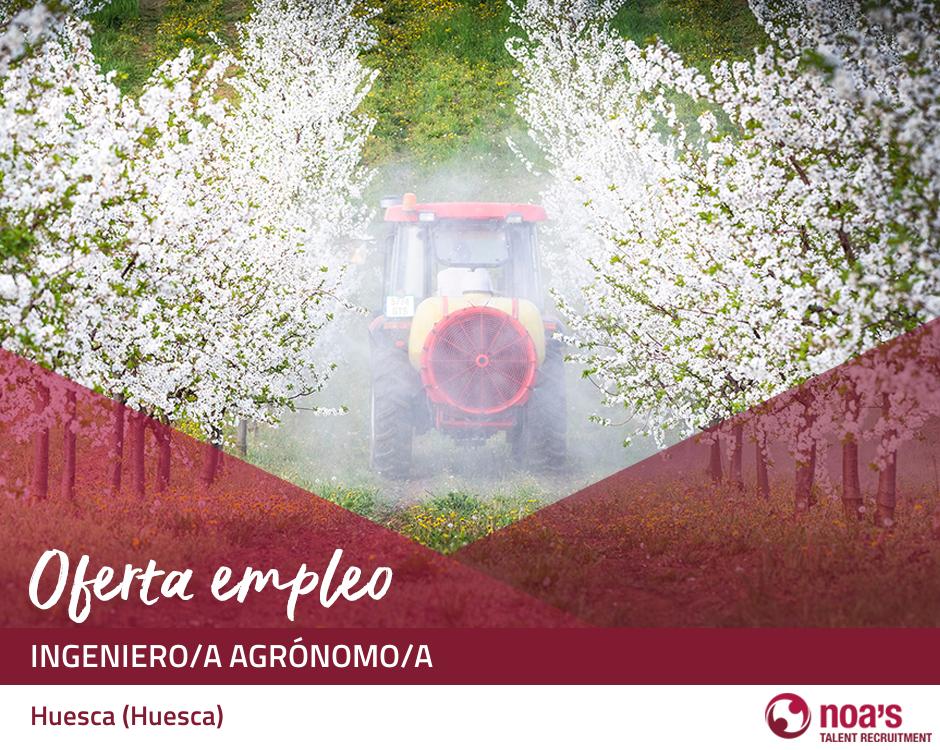 Ingeniero/a agrónomo/a