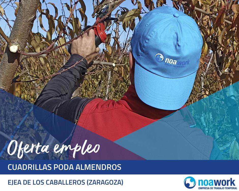 Cuadrillas poda almendros
