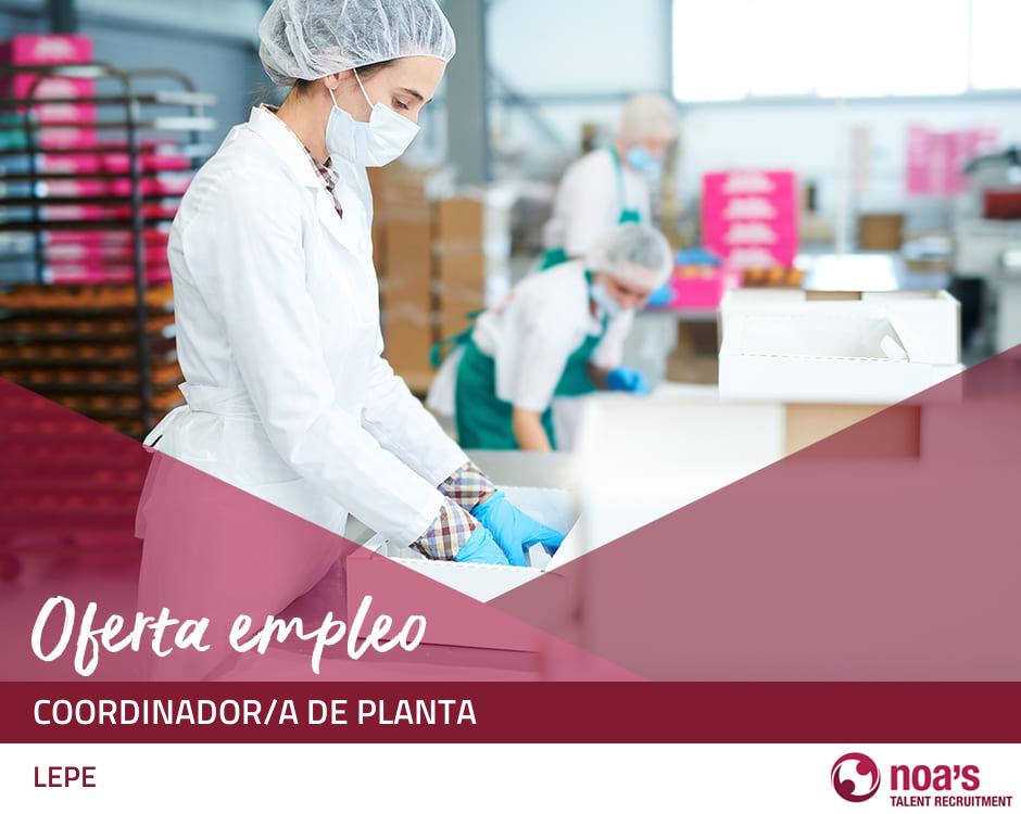 Coordinador/a de planta