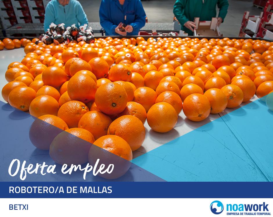 Robotero/a de mallas