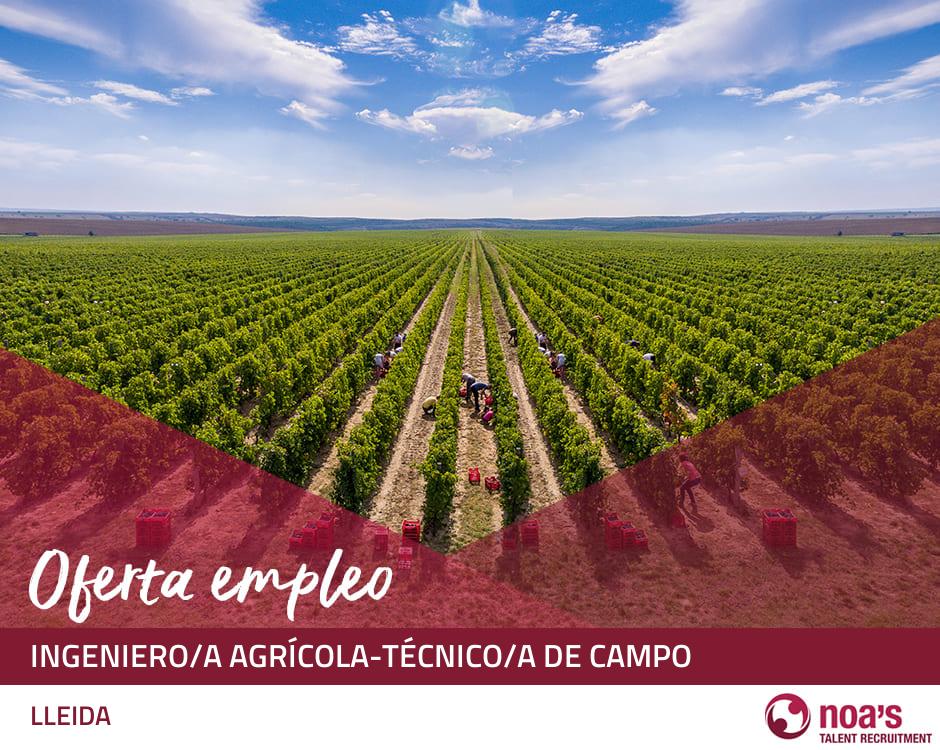 Ingeniero/a agrícola-técnico/a de campo