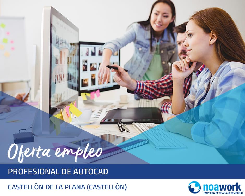 Profesional de autocad