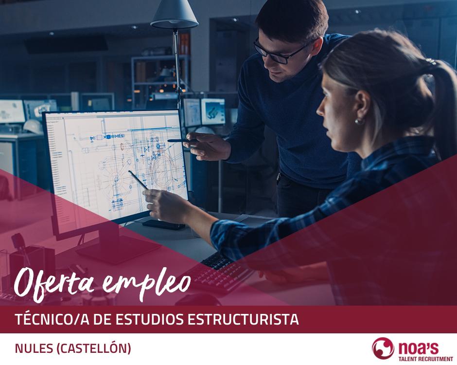 Técnico/a de estudios estructurista