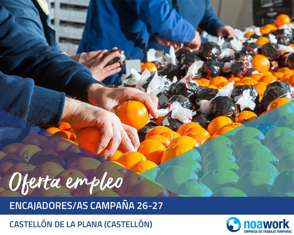 Encajadores/as campaña 26-27