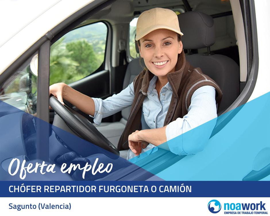 Chófer repartidor furgoneta o camión