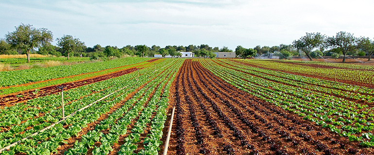 agricultura invierno blog