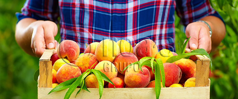 fruta_hueso_pepita_gruponoas_blog