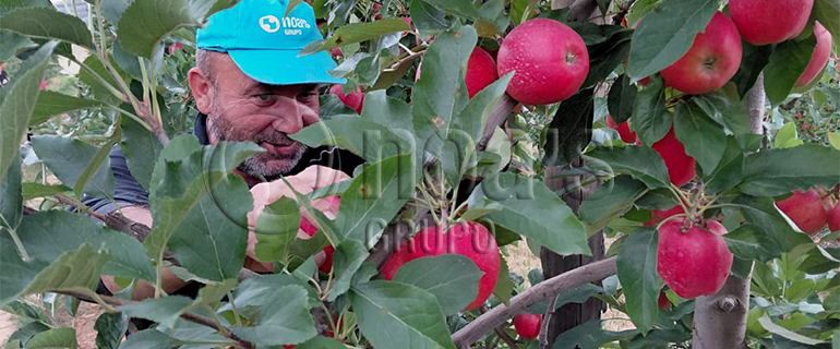 Fruit_attraction_26_gruponoas_blog