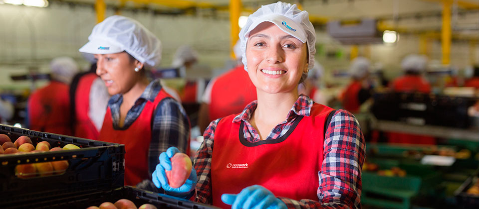 agroalimentario zaragoza grupo noas