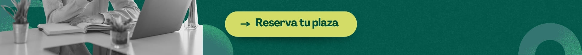 Excel: de los datos a la decisión
